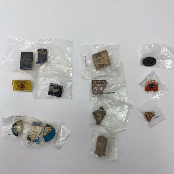 Harley Davidson Owners Group Lot Of 14 Rally & Motorcycle Club Pins HOG Pins - Picture 1 of 12